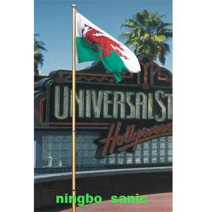 20'Telescopic Flag Pole Kit